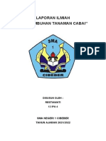 Laporan Ilmiah "Pertumbuhan Tanaman Cabai": Sma Negeri 1 Cibeber TAHUN AJARAN 2021/2022