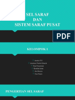 585184_PPT FISIOLOGI_SEL SARAF_KELOMPOK1