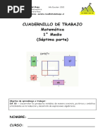 1° Medio Cuadernillo 7 MATEMÁTICA