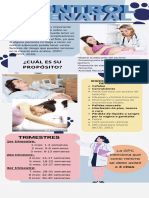 CARTELDELCONTROLPRENATAL