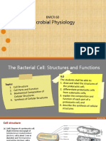 The Bacterial Cell - Structures and Functions