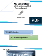 CMB Laboratory 1 DNA Extraction, Gel Electrophoresis and DNA Amplification