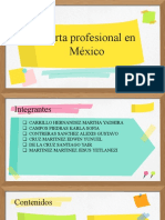 Oferta Profesional en México