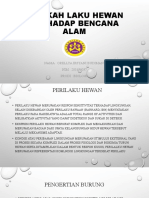 Orellya Irsyani Budiman (201838037) Presentasi Etologi