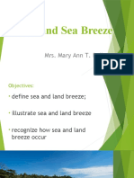 Land and Sea Breeze: Mrs. Mary Ann T. Rollen