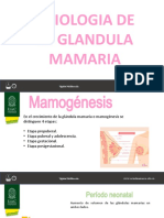 Fisiologia de La Glandula Mamaria