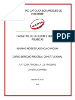 La Teoría Procesal y Los Procesos Constitucionales