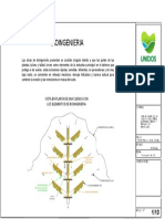 Bioingenieria: Bicimotorutas Rutas de Vida