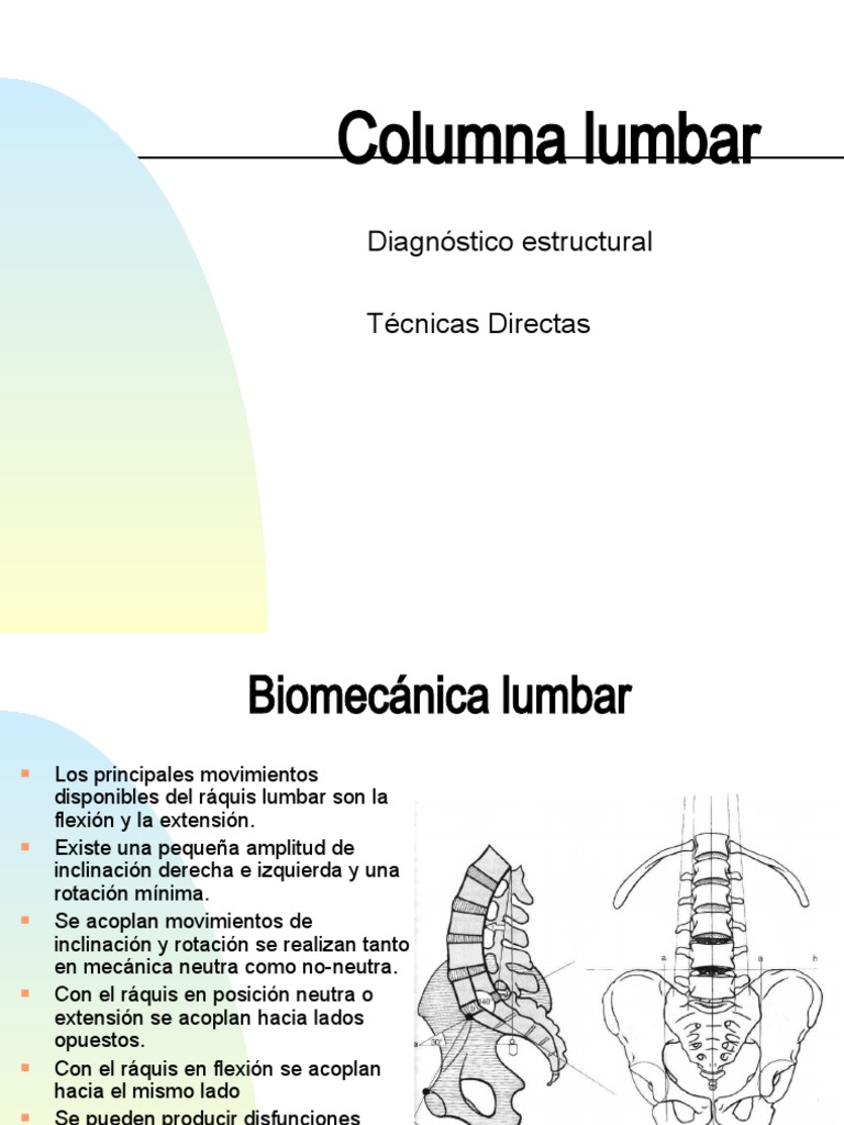 Movimientos y disfunciones de la columna lumbar | PDF | La columna ...