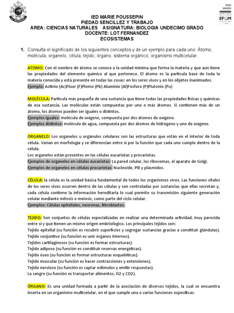 Permitirse en conductor Guia Ecosistema 11 | PDF | Ecología | Ecosistema