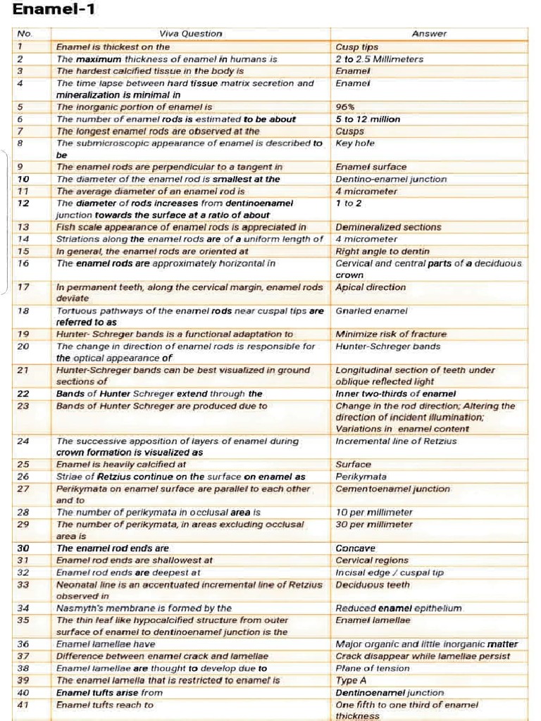 Enamel Histology and Development Notes | PDF | Dentin | Tooth Enamel