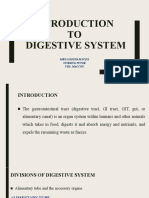 Anatomy - INTRODUCTION TO DIGESTIVE SYSTEM