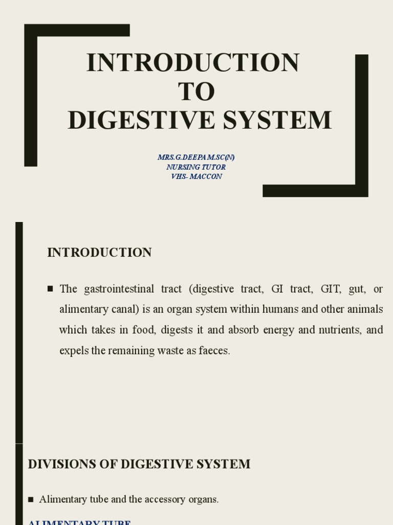 Anatomy - INTRODUCTION TO DIGESTIVE SYSTEM | PDF | Gastrointestinal ...