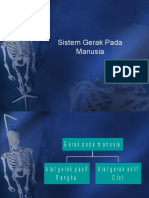 Sistem Gerak Pada Manusia