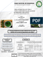 Actividad Antimicótica in Vitro y Metabolitos Del Aceite Esencial de Las Hojas de Minthostachys Mollis