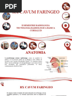 Interpretación de radiografías de cavum | PDF | Enfermedades y ...