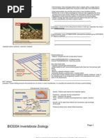 Download Protochordates by Gabrielle Forget SN52888531 doc pdf