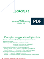 Kloroplas