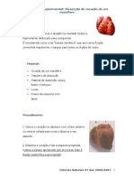 Disseccao Coracao