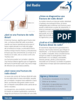 Thds2008 Book Distal-radius-fracture 2016 06 Spanish