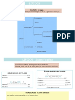 T3. Lipidos