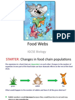 Food Webs: IGCSE Biology
