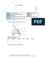 Código: PGA-R23 Vigencia: Septiembre 2017 Versión:1: 1. The Diagram Shows Part of The Human Respiratory System