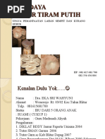 Download Budidaya Jamur Tiram Editan by Muhammad Syafi Mubarak SN52891739 doc pdf