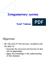 Integumentary System