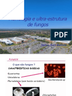 Aula 5 Morfologia e Ultra-estrutura de Fungos