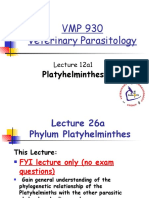 VMP 930 Veterinary Parasitology: Platyhelminthes