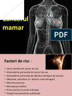 224713514-Cancerul-Mamar