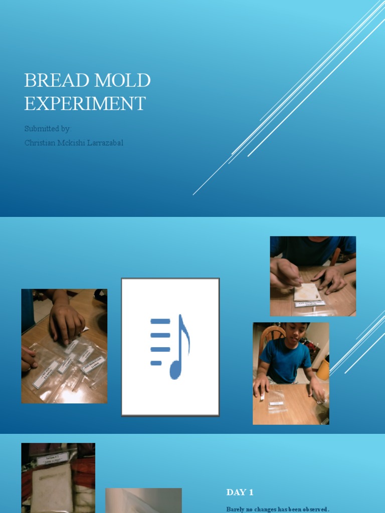 Bread Mold Experiment PDF
