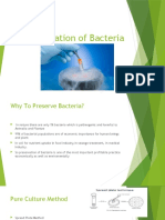 Preservation of Bacteria