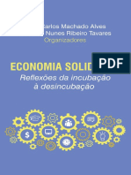 Livro Economia Solidaria Reflexoes Da Incubacao a Desincubacao 1