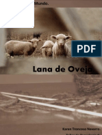 Proceso completo de elaboración de lana de oveja