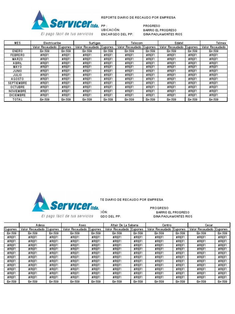 Informe Diario de Recaudo Empresarial | PDF