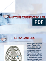 Anatomi Cardiovaskuler-1