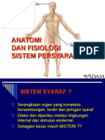 Anatomi Dan Fisiologi Syaraf(031019)(IDK)(Rajin)