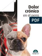 Dolor Cronico en El Perro