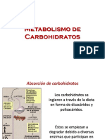 75 Metabolismo de Carbohidratos