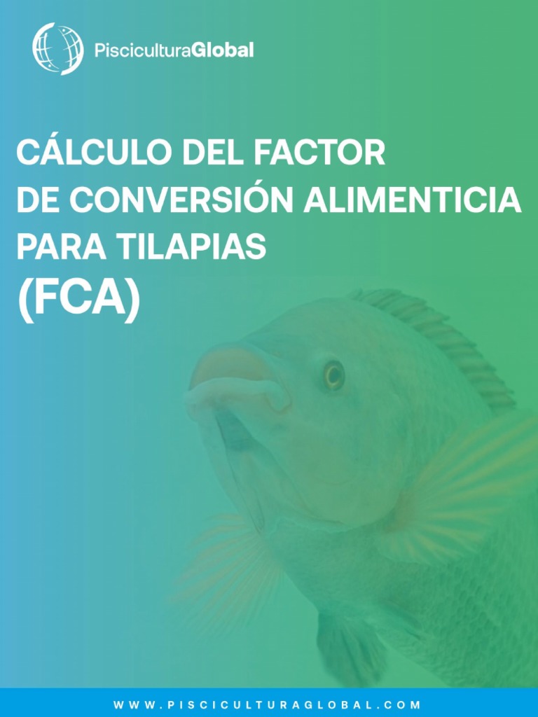 Explicación del Factor de Conversión Alimenticia y su importancia para ...