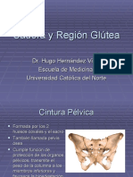1°cadera y Región Glútea