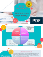 1 - 4a - Studi Kelayakan Burgendang