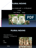 Plural Nouns: Most Nouns Simply Add - S in The Plural