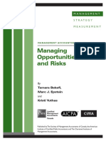 Cid Mag Managing Opportunities and Risk March08.PDF