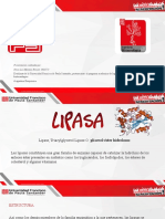 Presentacion LIPASA