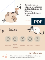 Virus de Inmunodeficiencia Felina 29 Yamasaki Romero Kahori