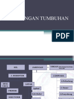 BIOLOGI-JARINGAN TUMBUHAN