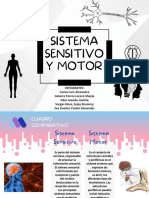 Cuadro Comparativo Sistema Sensitivo y Sistema Motor